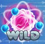 netent-attraction-wild.jpg